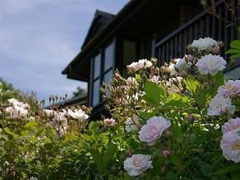 Barclay House Cottages Looe Esterno foto